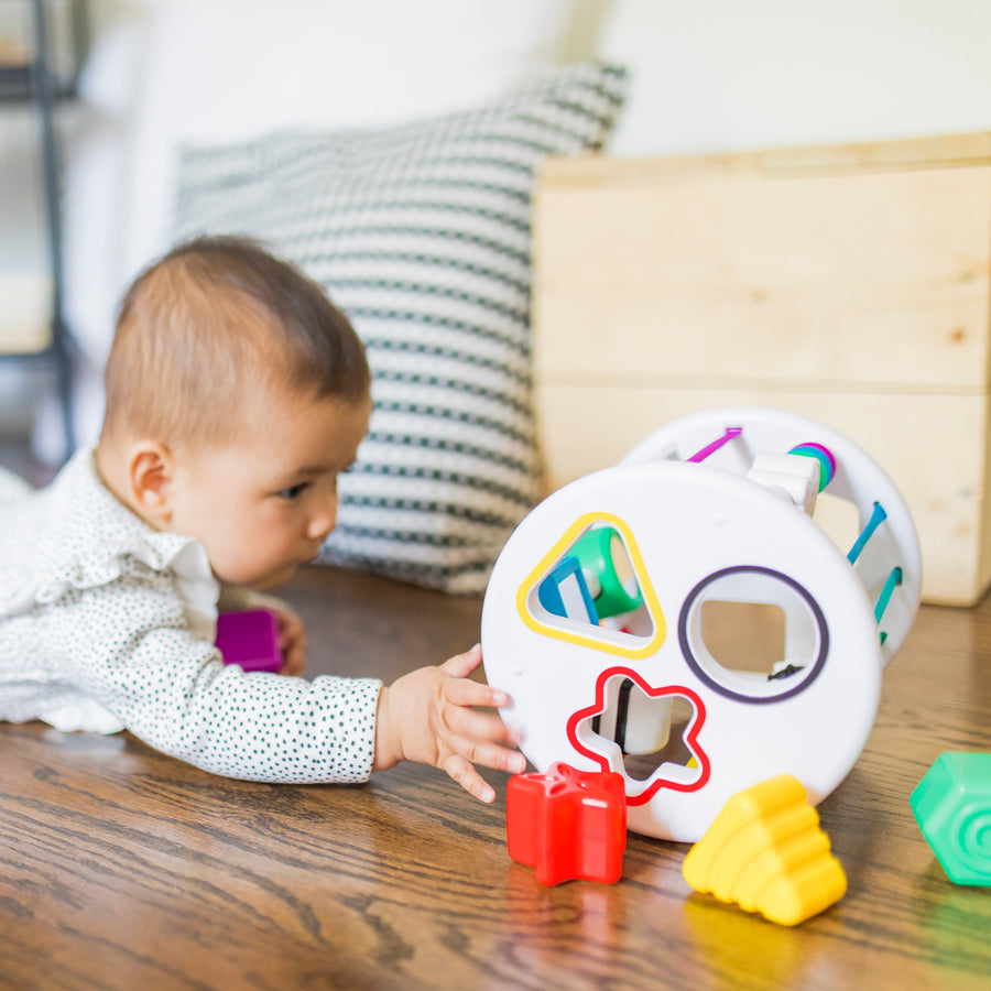 KIDS II BABY EINSTEIN IGRACKA SORTER ZEN & CAL’S PLYGROUND 12493 - Slika 10