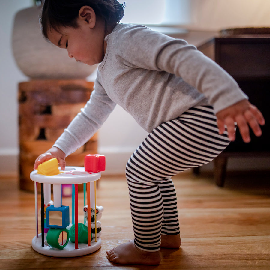 KIDS II BABY EINSTEIN IGRACKA SORTER ZEN & CAL’S PLYGROUND 12493 - Slika 9
