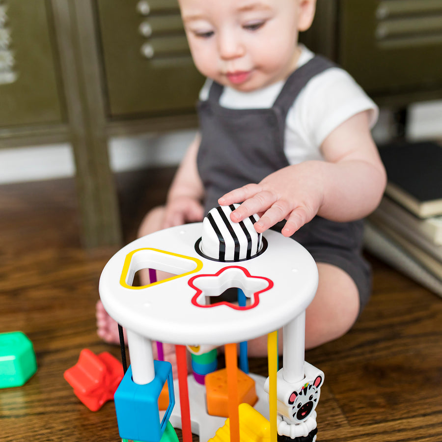 KIDS II BABY EINSTEIN IGRACKA SORTER ZEN & CAL’S PLYGROUND 12493 - Slika 6