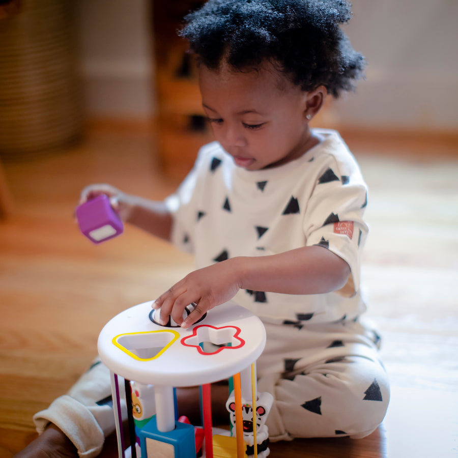 KIDS II BABY EINSTEIN IGRACKA SORTER ZEN & CAL’S PLYGROUND 12493 - Slika 4