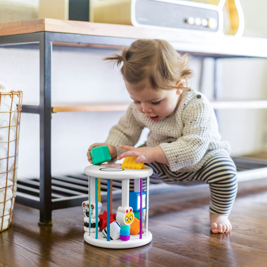 KIDS II BABY EINSTEIN IGRACKA SORTER ZEN & CAL’S PLYGROUND 12493 - Slika 2